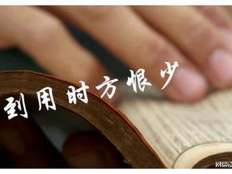 书海泛舟，桥洞圆梦：感悟知识的力量